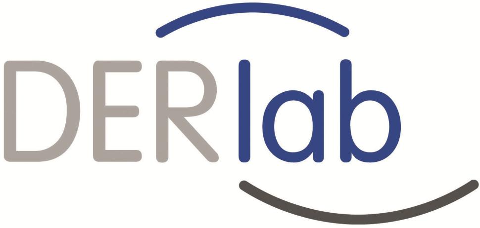 Logo DERlab